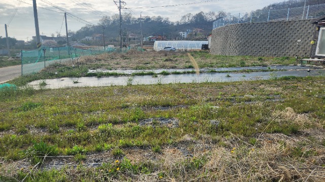 20250421_172008.jpg