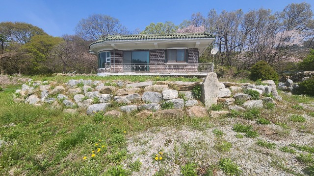 20250424_103257.jpg