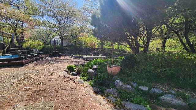 20250424_145913.jpg