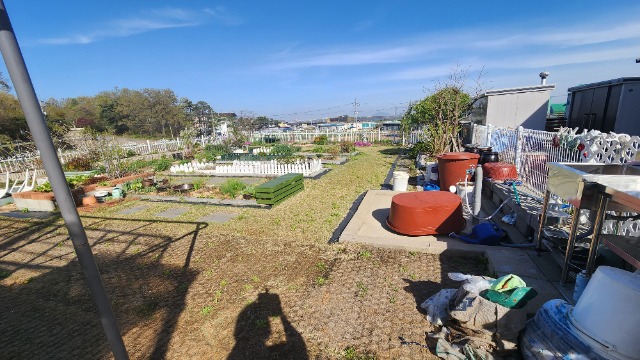 20250424_161603.jpg
