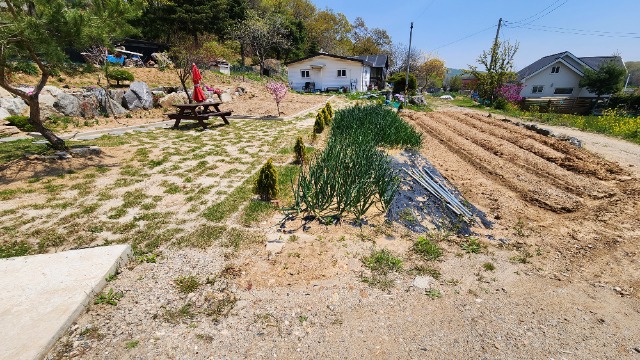 20250428_120948.jpg