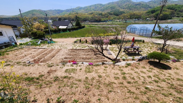 20250428_121751.jpg