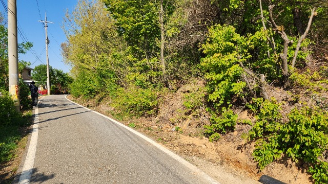 20250428_162023.jpg