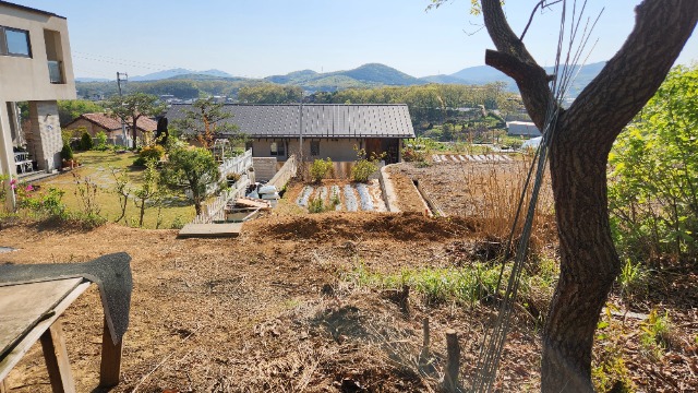20250428_161820.jpg