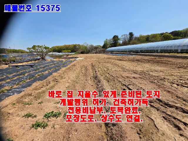 20250430_135158.jpg