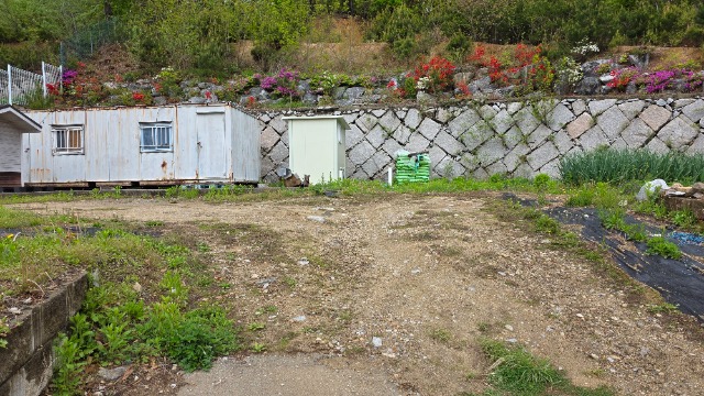 20250503_122015.jpg
