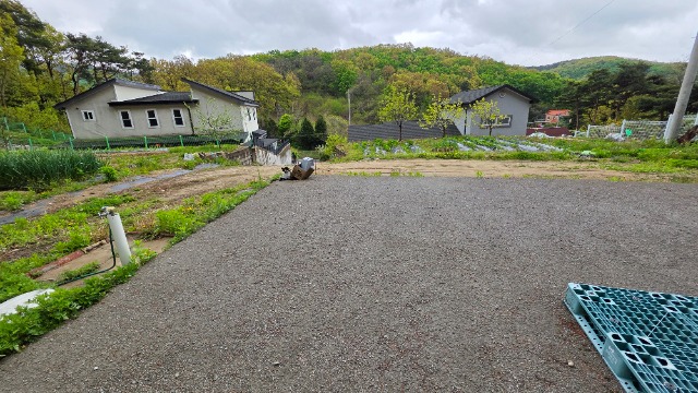 20250503_122057.jpg