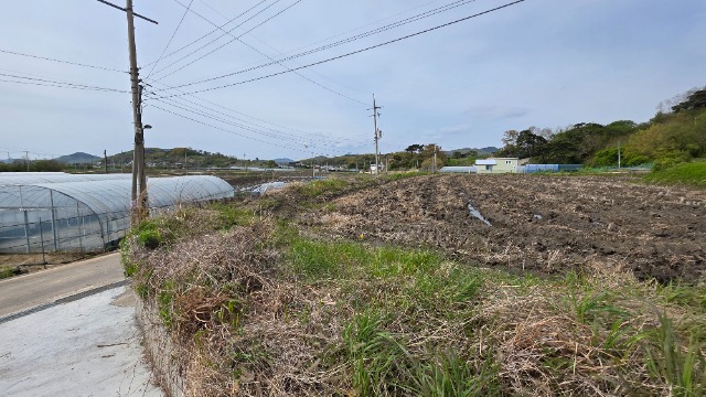 20250506_152714.jpg