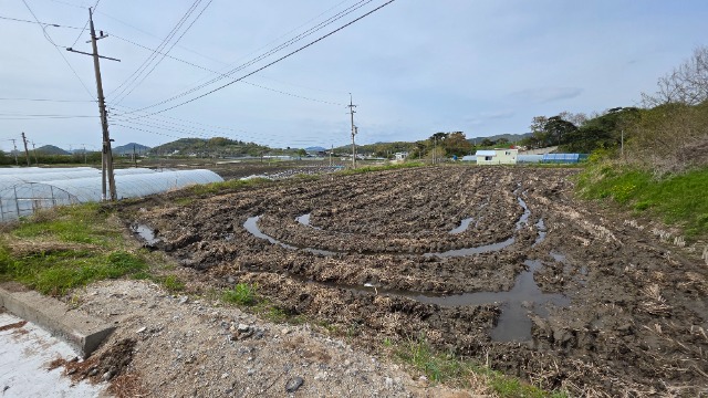 20250506_152741.jpg
