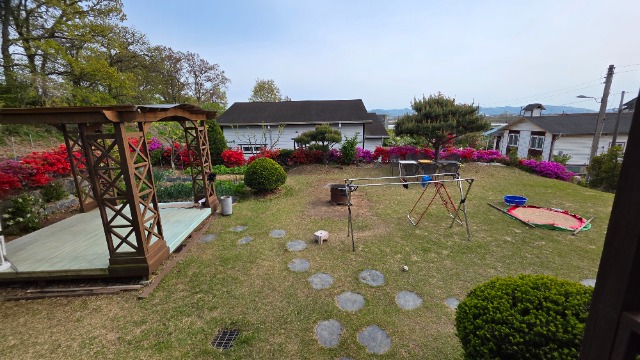 20250506_155528.jpg