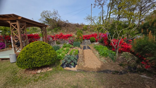 20250506_155406.jpg