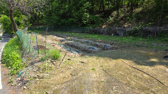 20250512_135024.jpg