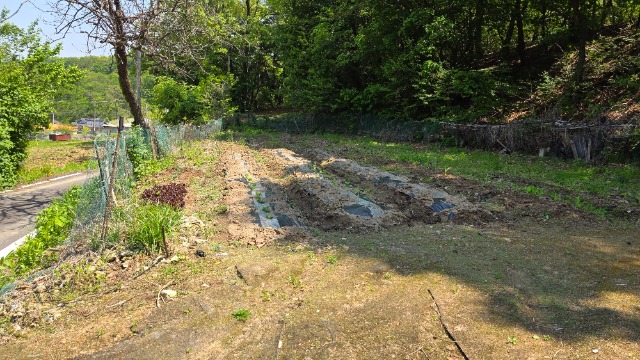 20250512_135028.jpg