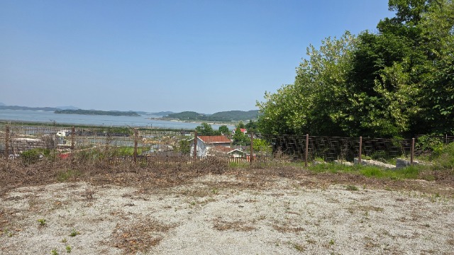 20250522_144249.jpg