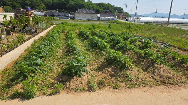 20250522_150939.jpg
