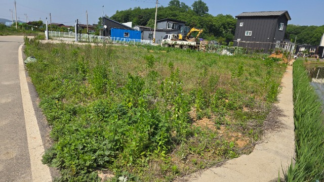 20250522_150844.jpg