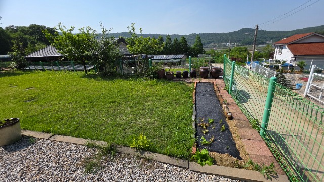 20250522_152948.jpg