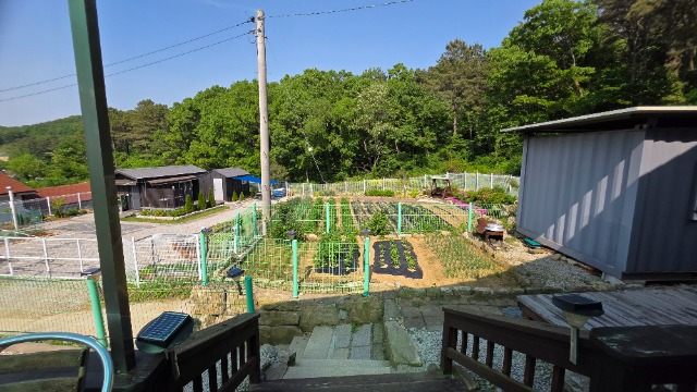 20250522_153543.jpg
