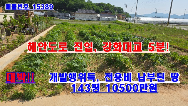 20250522_150939.jpg