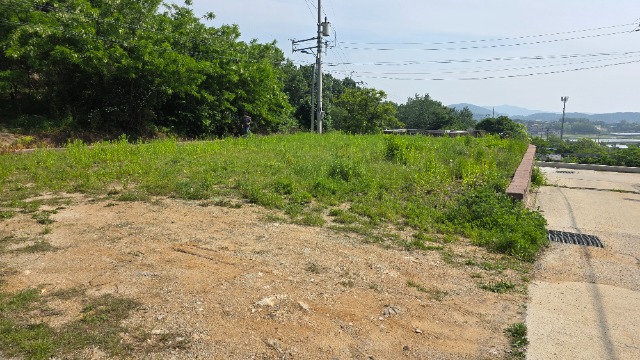20250526_152313.jpg