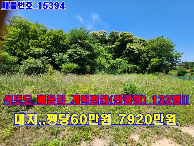20230616_121117.jpg