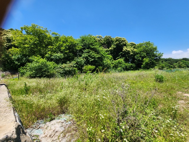 20230616_121224.jpg