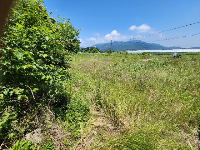 20230616_121018.jpg