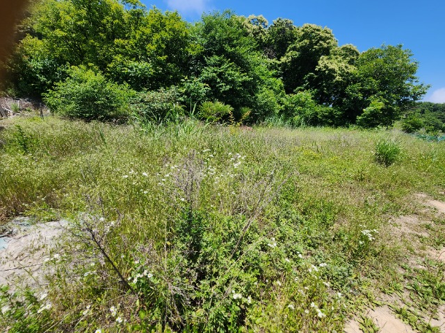 20230616_120938.jpg