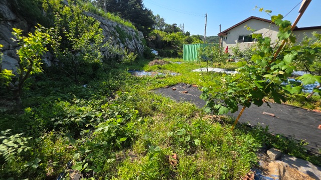 20250604_090239.jpg