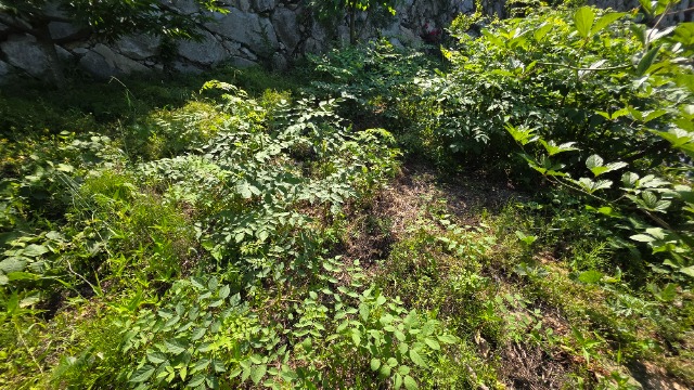 20250604_090204.jpg