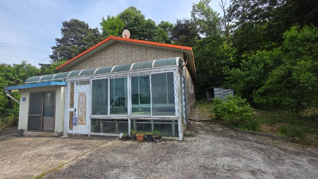 20250605_160437.jpg
