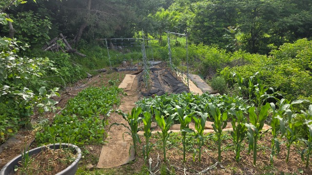 20250605_160345.jpg