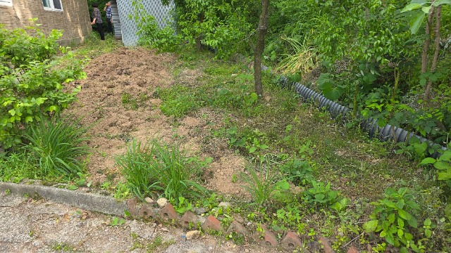 20250605_160351.jpg