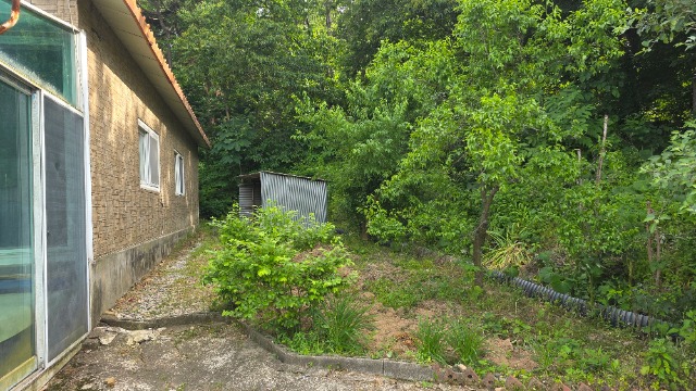 20250605_160424.jpg