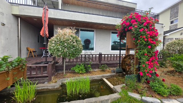 20250607_151216.jpg