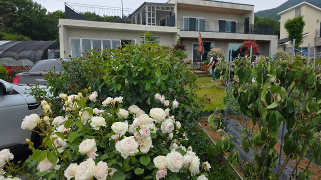 20250607_150850.jpg