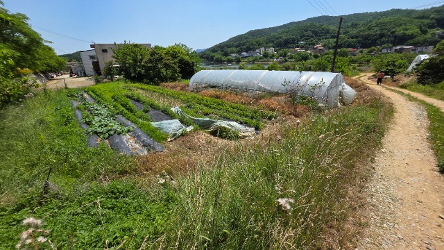 20250611_111633.jpg