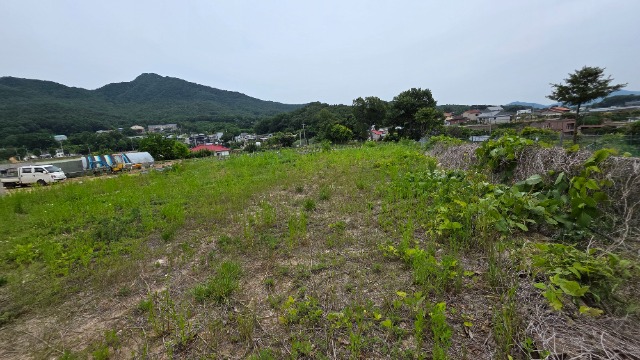 20250613_120913.jpg