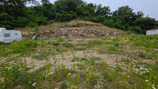 20250613_120835.jpg