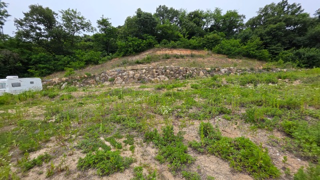 20250613_120805.jpg