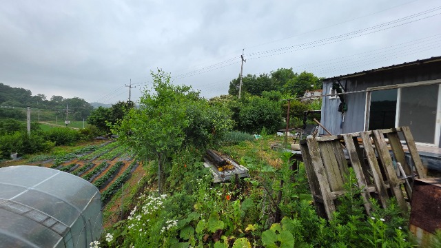 20250616_142414.jpg