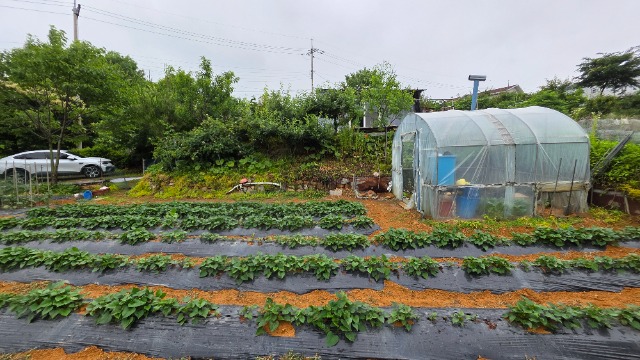 20250616_143257.jpg