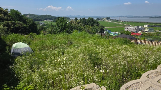 20250623_150426.jpg