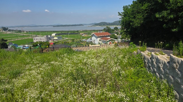 20250623_150446.jpg