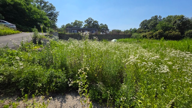 20250623_150708.jpg