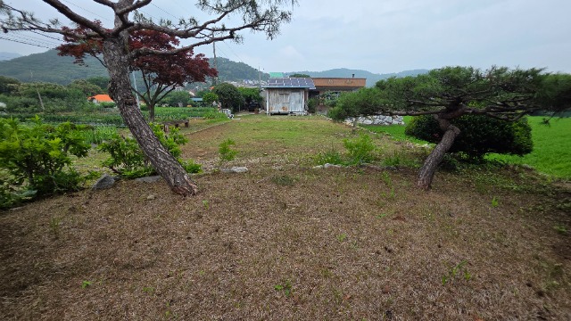 20250627_133533.jpg