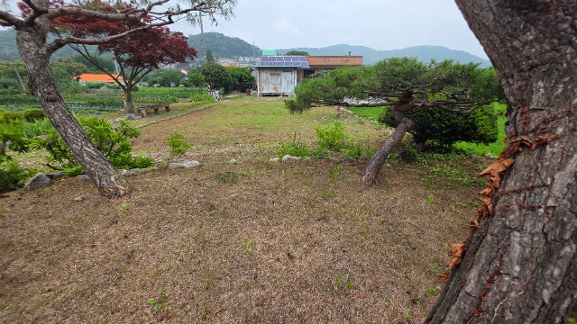 20250627_133547.jpg