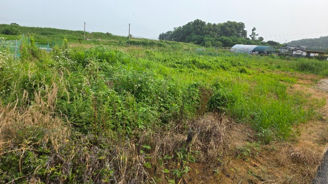20250707_172915.jpg