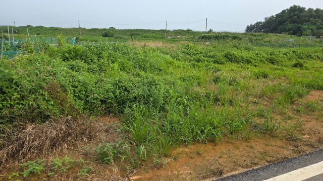 20250707_172921.jpg