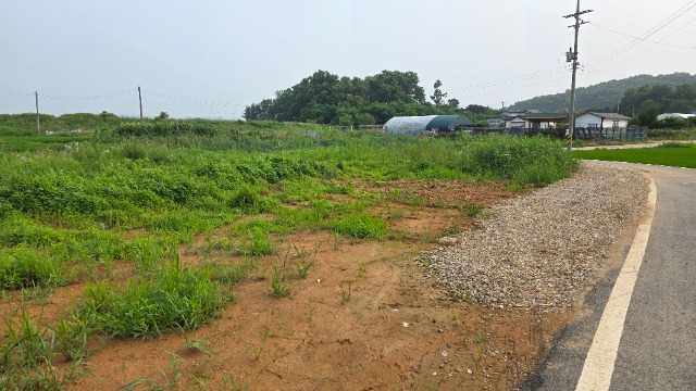 20250707_172930.jpg